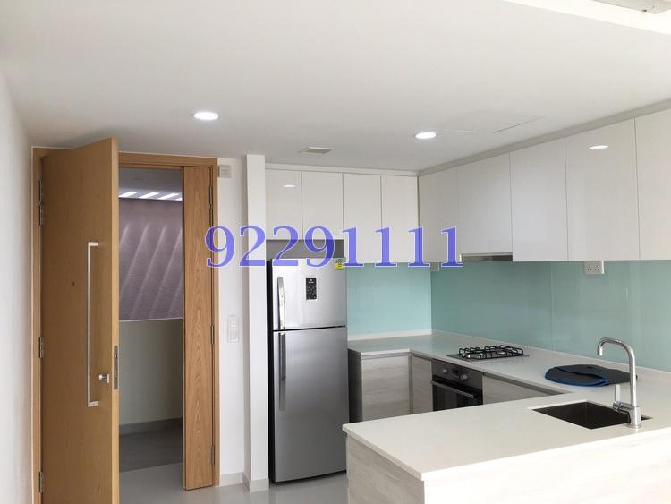 Bartley Residences (D19), Apartment #162483522